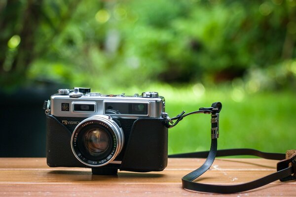 Ce beau fond avec caméra yashica