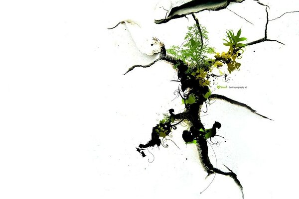 A crack from the roots in the shape of a winner