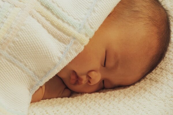 A cute creature in a dream embodies serenity and happiness