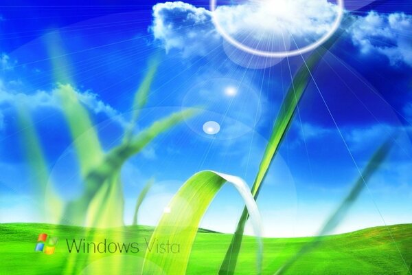 Logotipo de Windows Vista en el cuadro