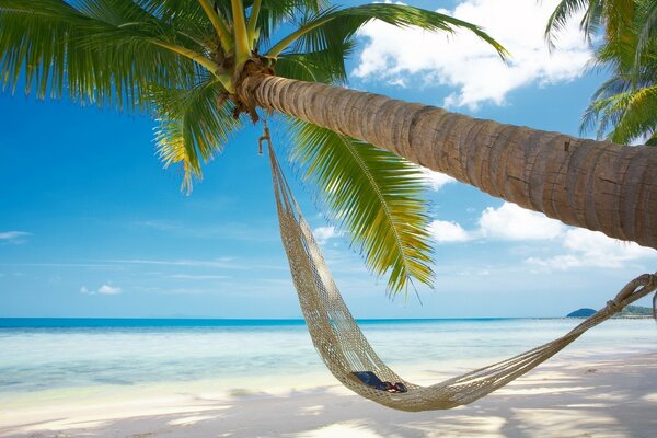 Sommerlandschaft am Meer im Sommer