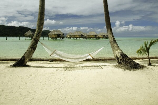 White hammock among two palm trees overlooking the ocean