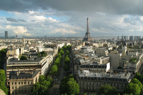 The place where charm is born