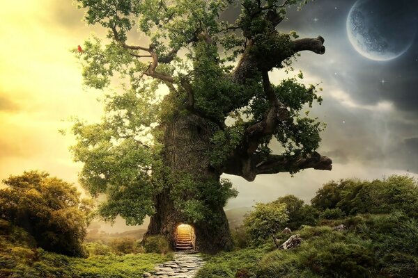 A tree house in the moonlight