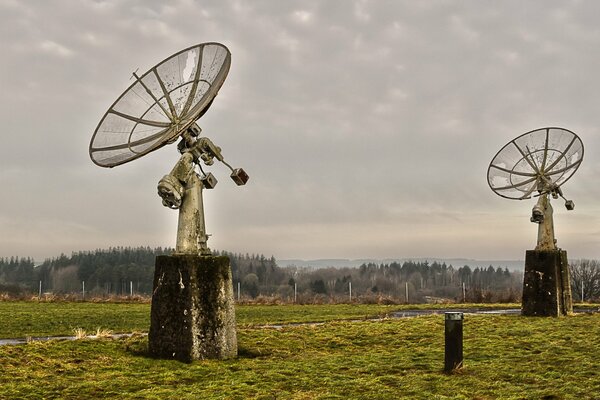A field with antennas on the background of a dense forest