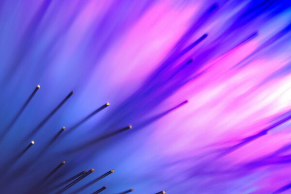 Fils minces sur fond rose-bleu