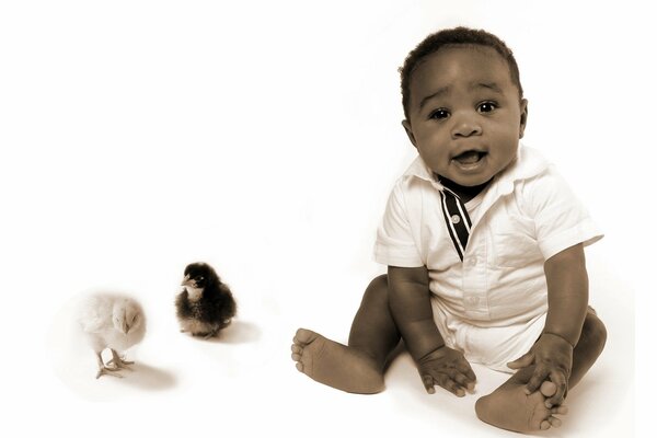 African baby and two chicks