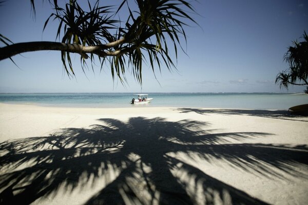 A huge shadow from a palm tree on a sandy beach