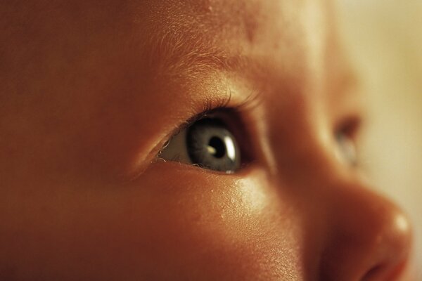 Retrato de un niño con ojos marrones y nariz chata