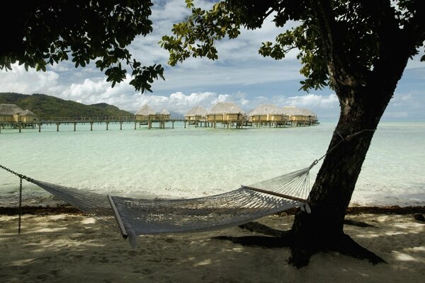 Hammock in the shade of tropical palm trees