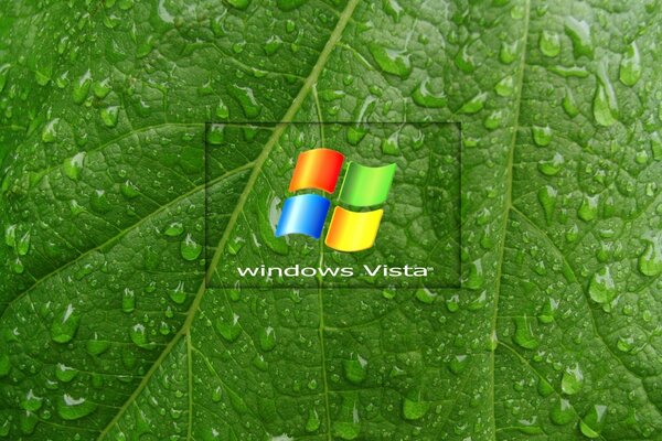 Logotipo en la hoja verde con el rocío