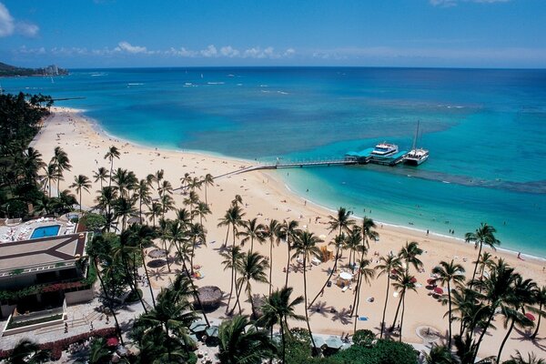 Palm trees on the sandy beach. Small yachts