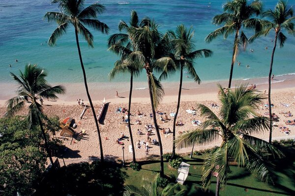 The coast of the sea. People are sunbathing