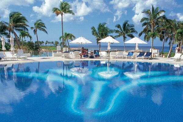Relaxing with a swimming pool, sun loungers and palm trees