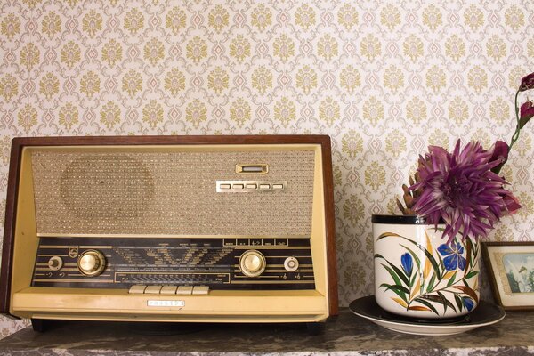 Retro-Radio und Blumentopf