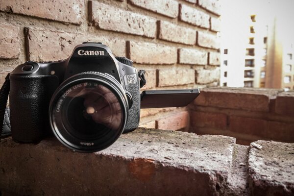 Eine Kamera für Hobbyfotografen und Anfänger