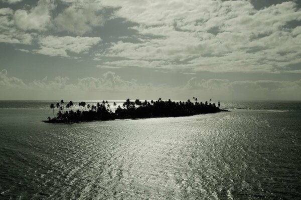 An uninhabited island in the open sea