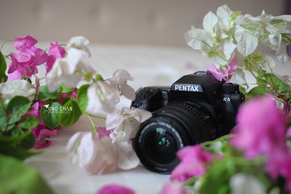 Cámara negra sobre fondo de flores