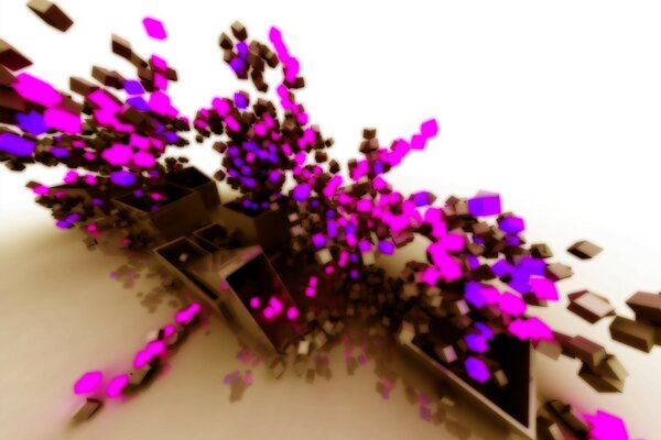 A beautiful combination of pink and lilac colors
