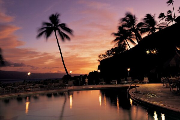 Sunset on a tropical island with palm trees in the background