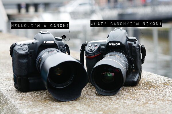 Dwa aparaty Canon i Nikon z dialogiem między nimi