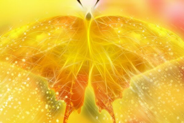 Vol de papillon en jaune
