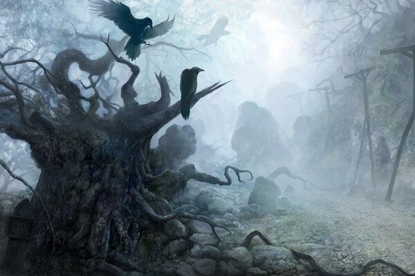 Corbeaux sombres dans une vieille forêt sombre