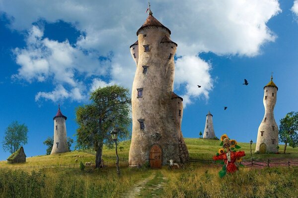 Casas de aves de forma maravillosa