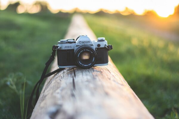 An old canon film camera on a log with a blurred background