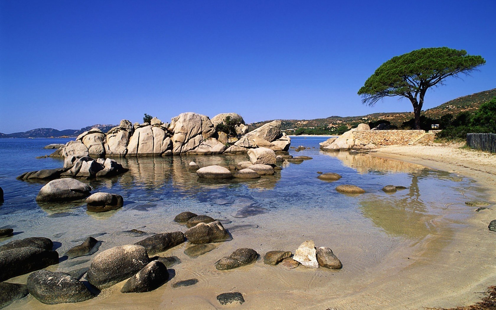 arbre des tropiques pierres blanc eau ciel côte ciel bleu surf nature paysage pavés côte plage paradis arbres