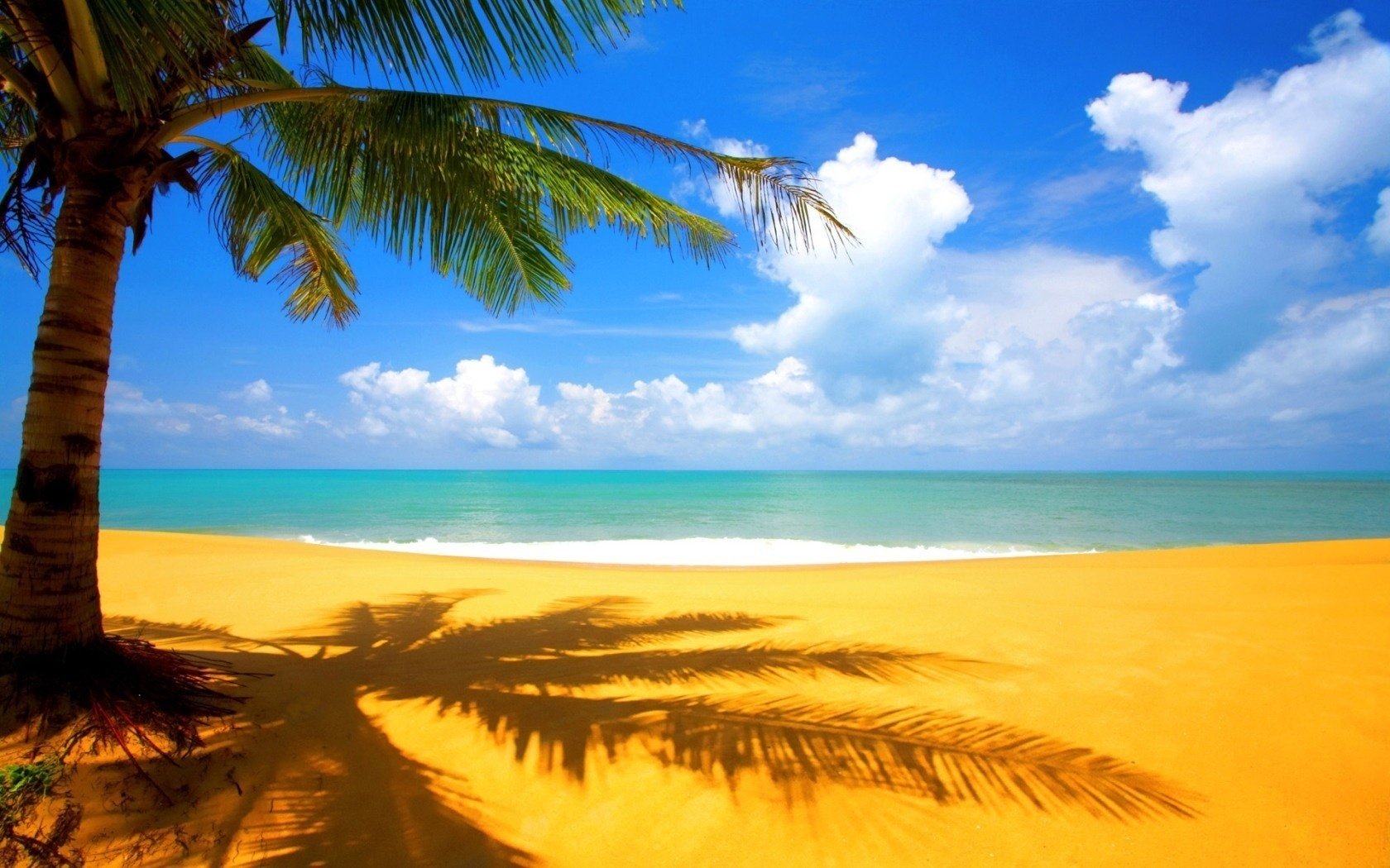 fiery sand old palma sea air beach water the sky shore palm trees sea the ocean surf wave horizon blue sky landscape paradise tropics heat cloud