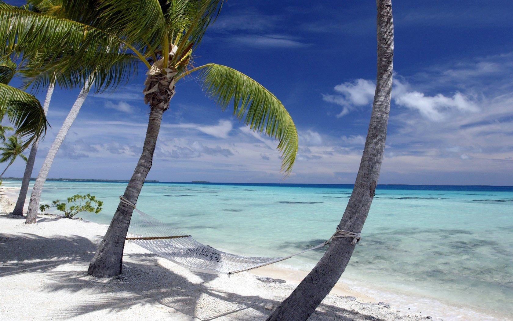 hamac palmier eau plage ciel