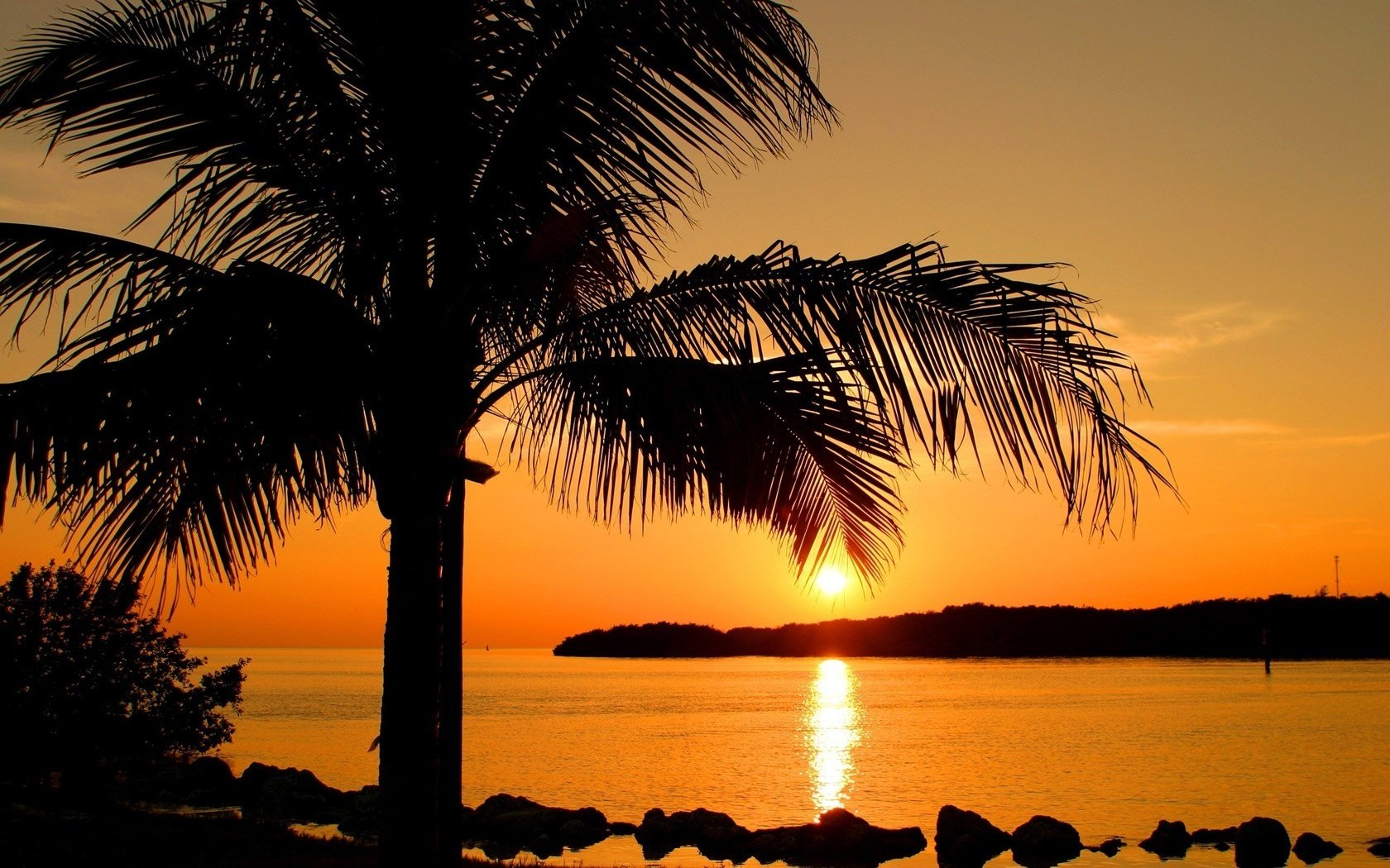 üppige zweige sonnenuntergang einsamer baum wasser palme steine insel meer resort tropen wasserweg sonne abend landschaft natur