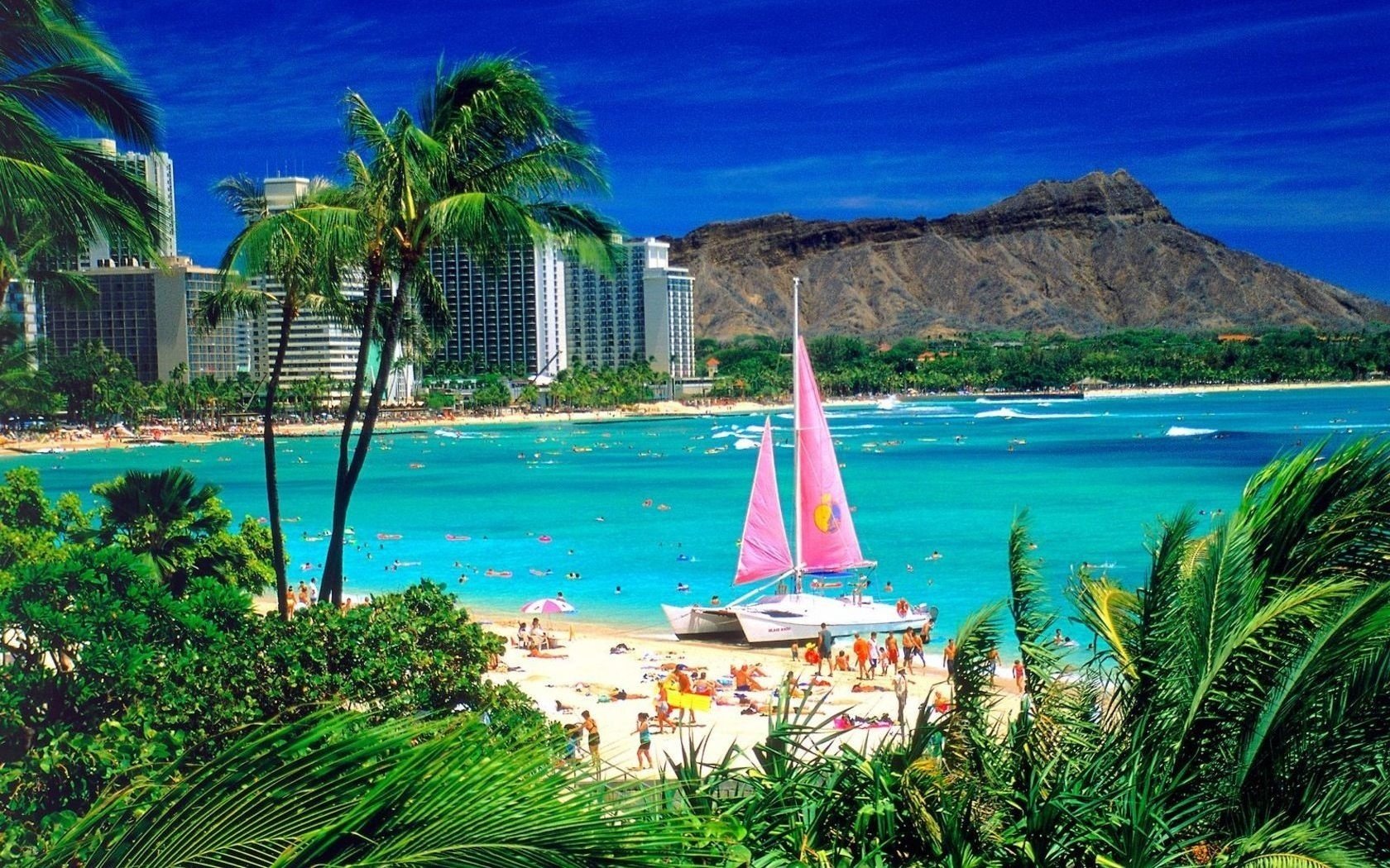 grands bâtiments fenêtres en verre voiles roses plage mer eau été soleil chaleur humeur palmier feuilles bateau sable gens côte ciel station