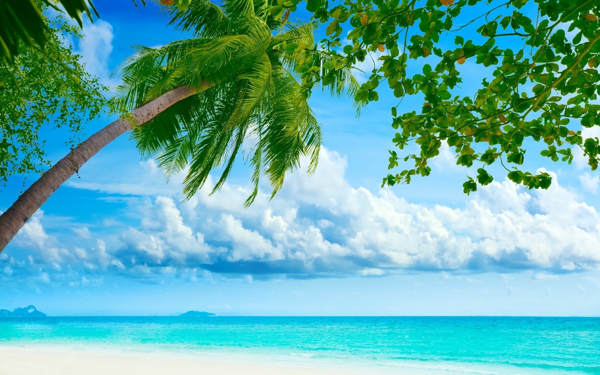 nubes flotantes verde intenso plantas cielo mar agua playa verano sol calor olas estado de ánimo palmeras