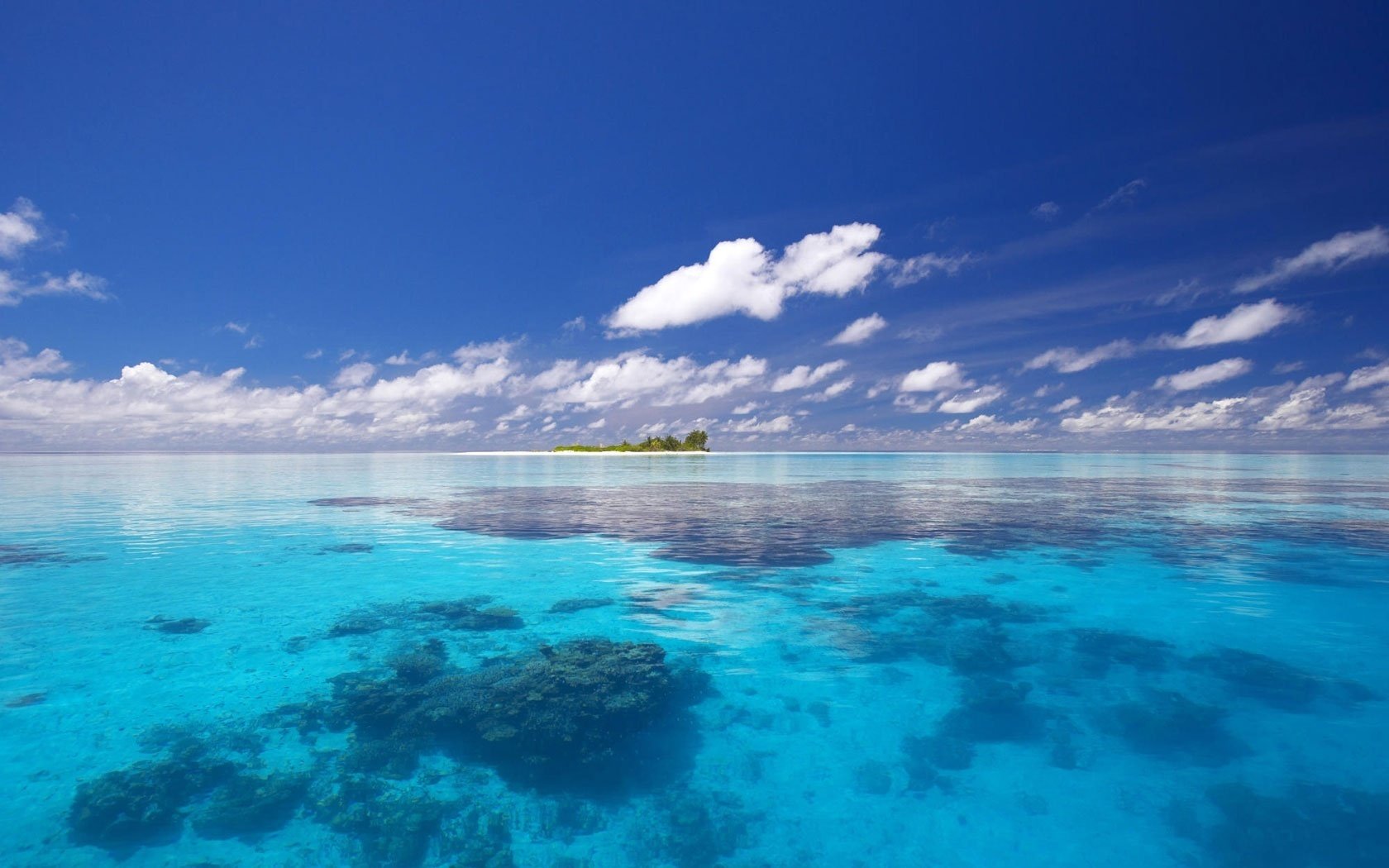 plantes sous-marines eau salée lumière du soleil eau ciel mer île horizon tropiques nuages été chaleur bleu azur paradis