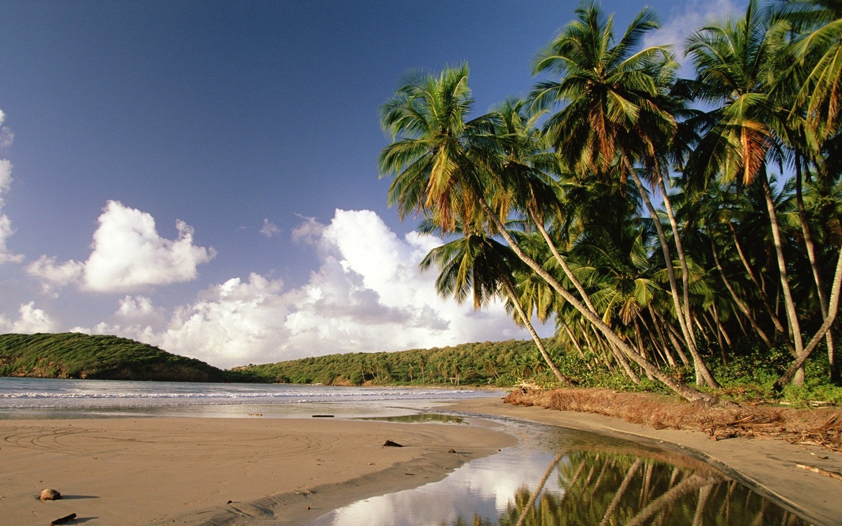 palm thicket mirror dark sky water shore the sky palm trees island clouds nature paradise tropics sea wave surf sand vegetation exotic