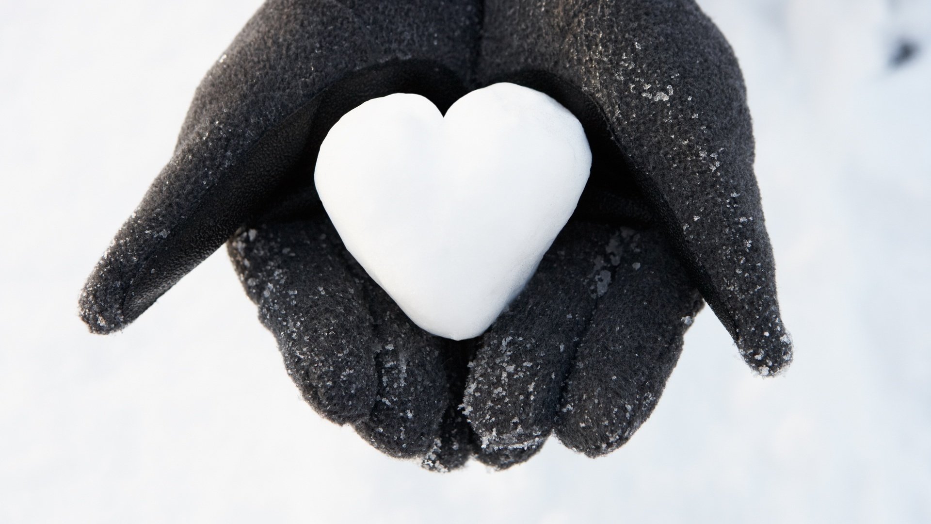 cuore di neve tortilla guanti neri inverno b-w mani neve riconoscimento amore tenerezza romanticismo sentimenti