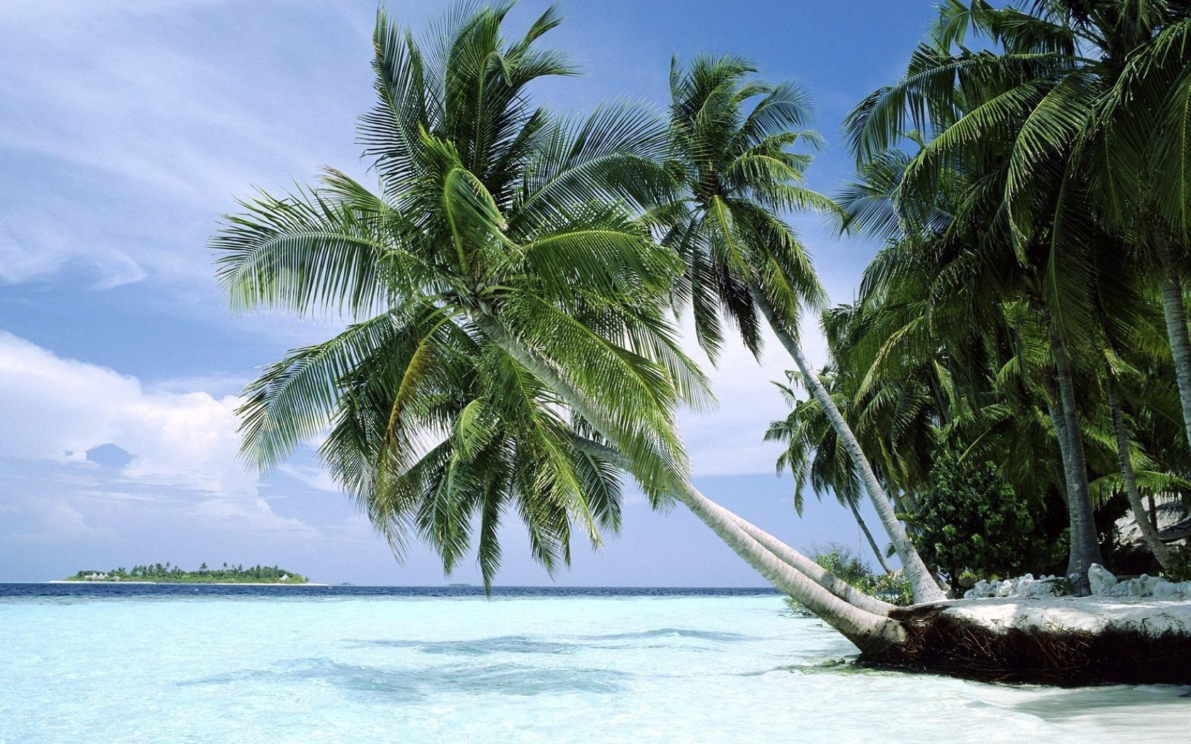 futterpflanzen schneeweißer sand hitze strand himmel palmen sommer tropen insel vegetation landschaft natur paradies horizont wolken wasser brandung