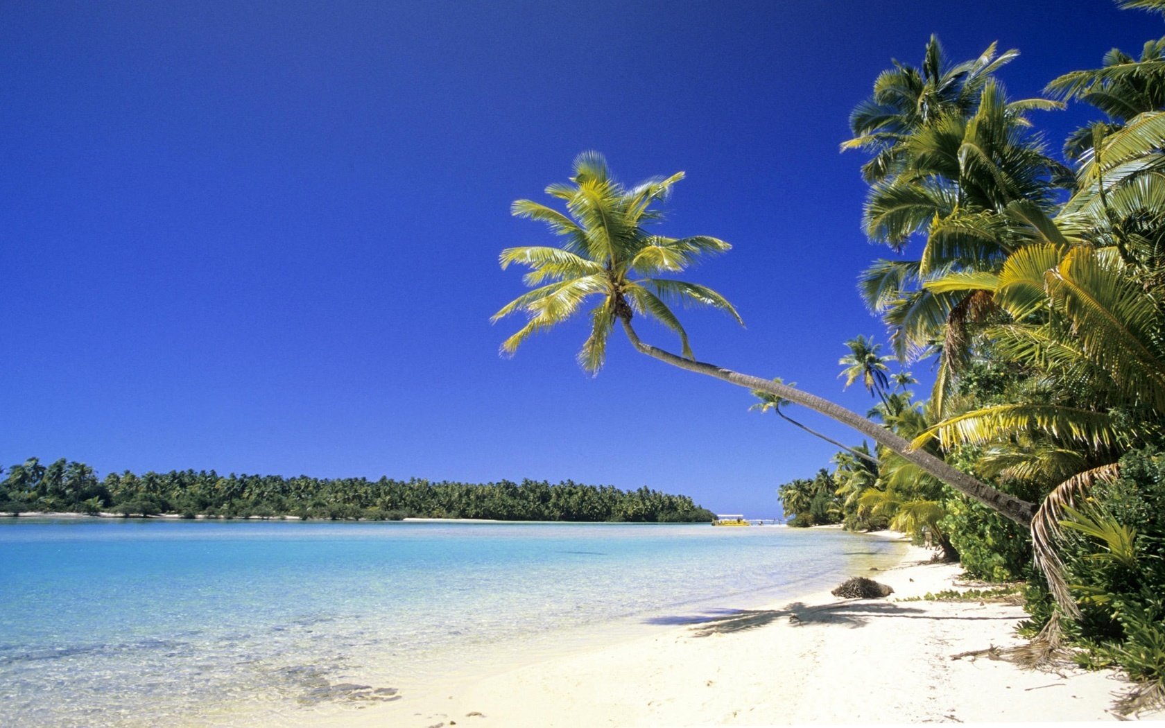 weißer strand sengende sonne tropische pflanzen strand wasser himmel ufer palmen sommer hitze natur landschaft urlaub resort insel