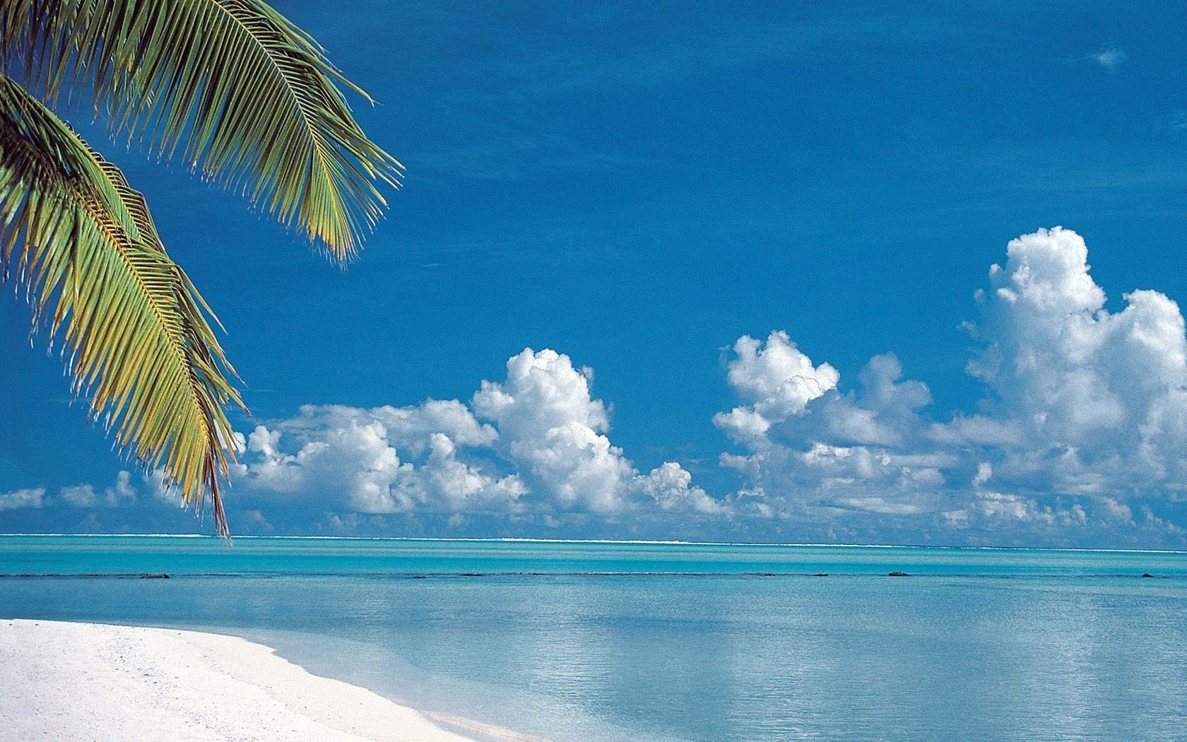 lush clouds branches of greenery clear sky beach water sky sea horizon nature azure blue island landscape vacation summer heat heat