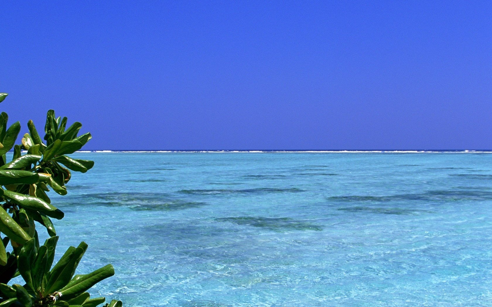 ruhiges lager blaues wasser blätter wasser himmel meer horizont landschaft natur blau azurblau