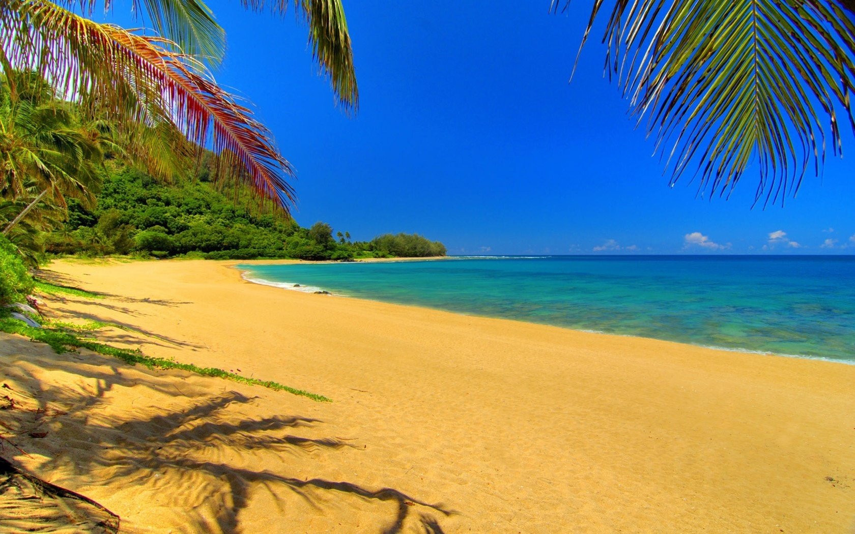 sable jaune bleu vodica image lumineuse coin de paradis plage eau ciel côte horizon paysage mer surf côte chaleur été tropiques palmiers végétation verdure sable