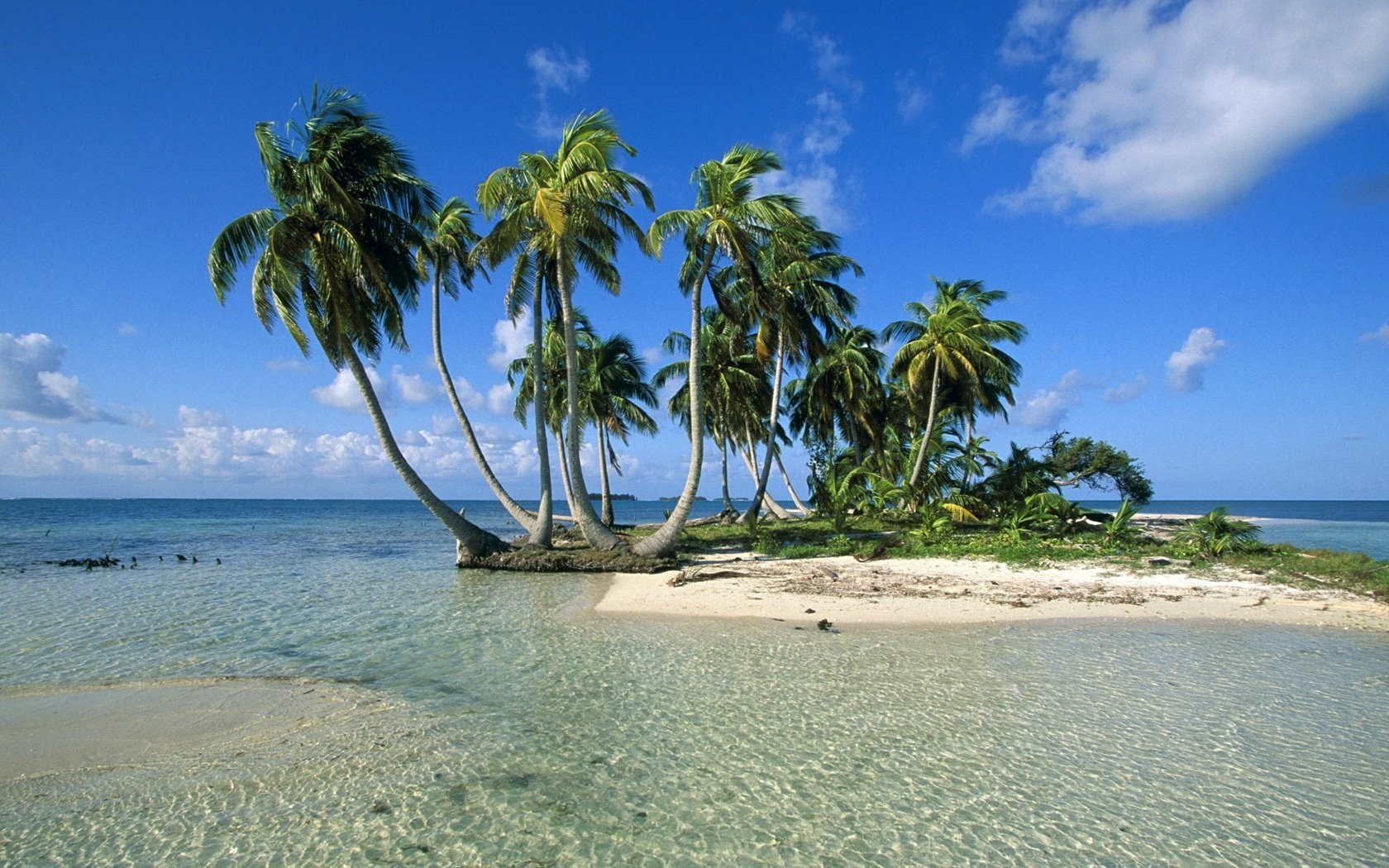 leichter wind klares wasser sonnenlicht strand wasser himmel palmen insel sand natur landschaft bäume wolken sommer hitze tropen paradies erholung stille glatte oberfläche azurblau