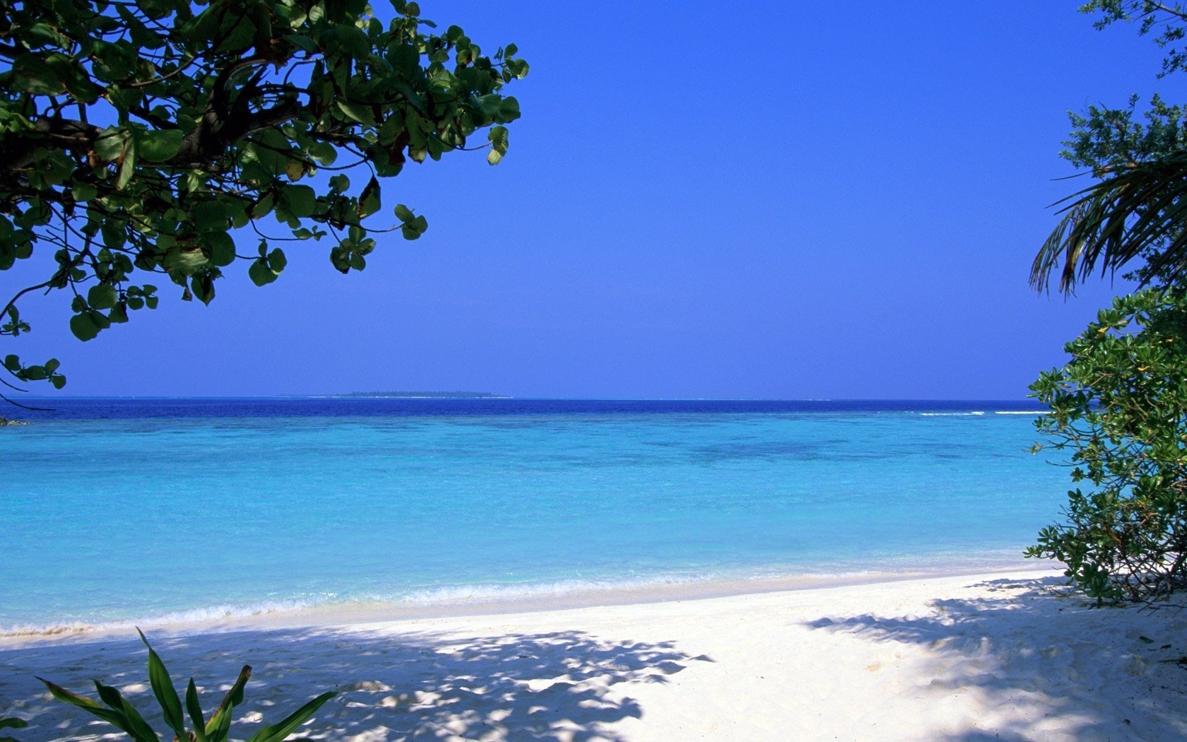 ombre en été côte blanche feuilles plage eau ciel mer brise île palmier soleil horizon été paradis nuages surf rivage