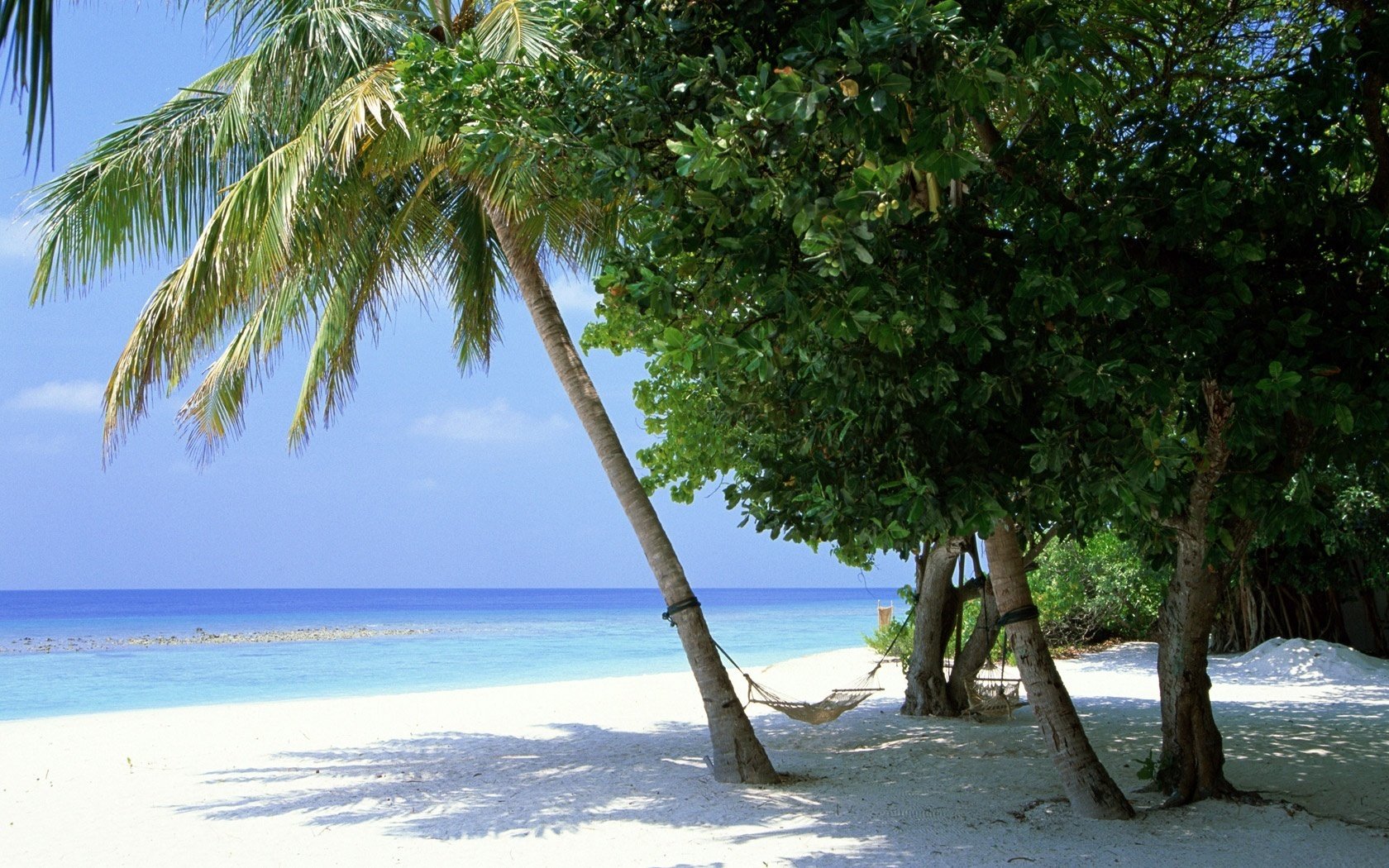 hammock on the tree shadow trees beach shore sea horizon nature landscape vacation stay sand tropics coast clouds summer