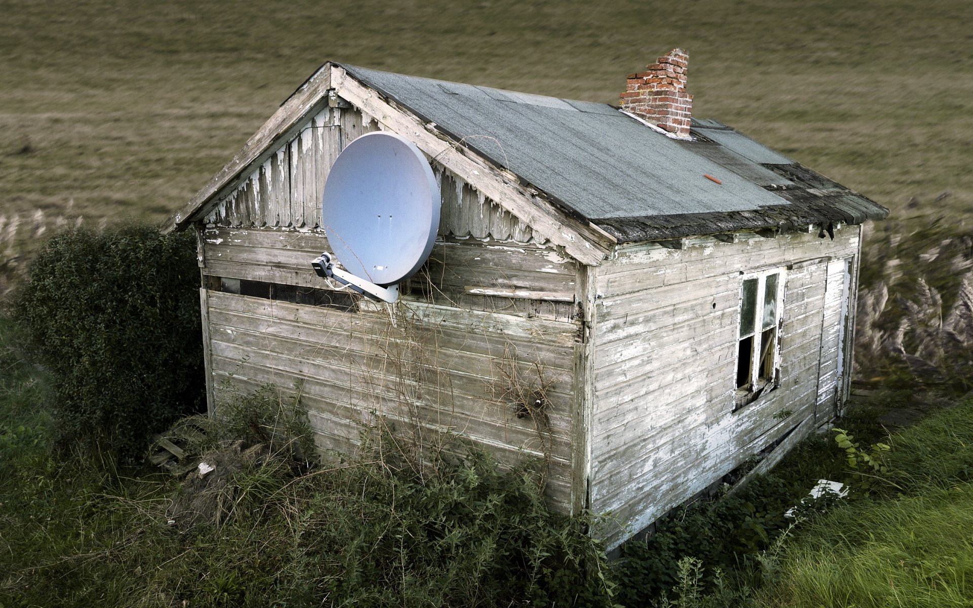 haus feld hintergrund