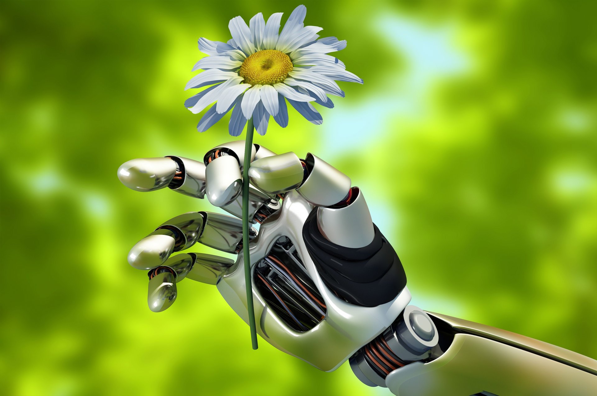 hi-tech technology robots android robot the mechanism nature summer hand gesture holds camomile beautiful background green background blur bokeh close up wallpaper