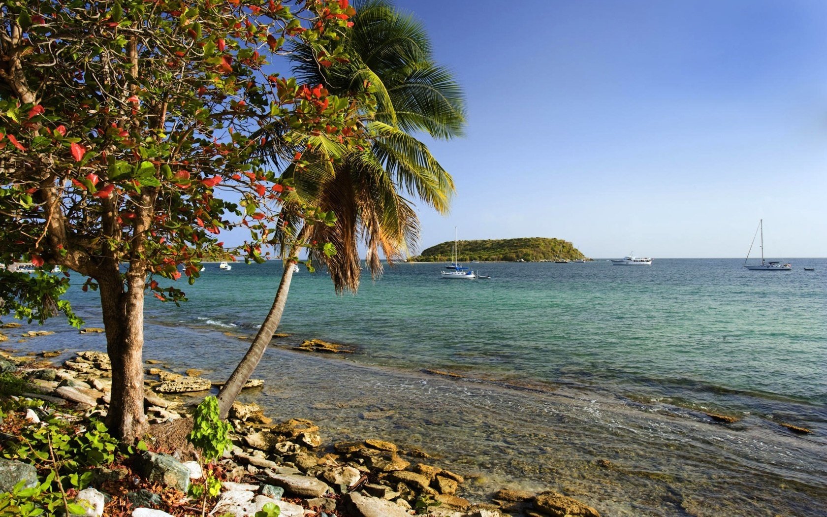 kleine bucht yachten kieselsteine am boden meer brise insel palme sonne horizont sommer paradies wolken brandung wasser ufer himmel