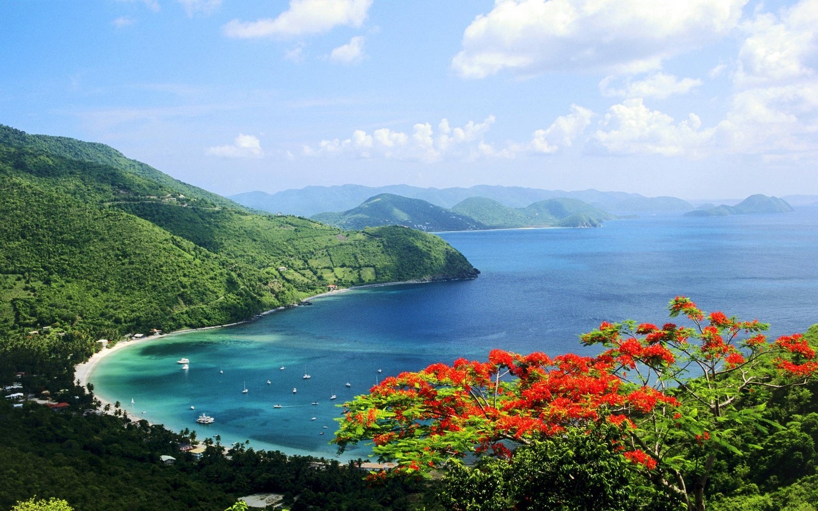 fleurs baie fleurs rouges montagnes vertes eau ciel montagnes mer baie vue paysage yachts vacances station